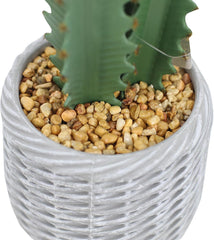 Künstlicher Kaktus, 91Cm Kunstpflanze Kaktuspflanzen Groß, Euphorbia Acrurensis Sehr Pflegeleicht, Kunstpflanze Im Topf Pflanzen Dekoration Für Zuhause Garten Büro Dekoration Einweihungsgeschenke - B