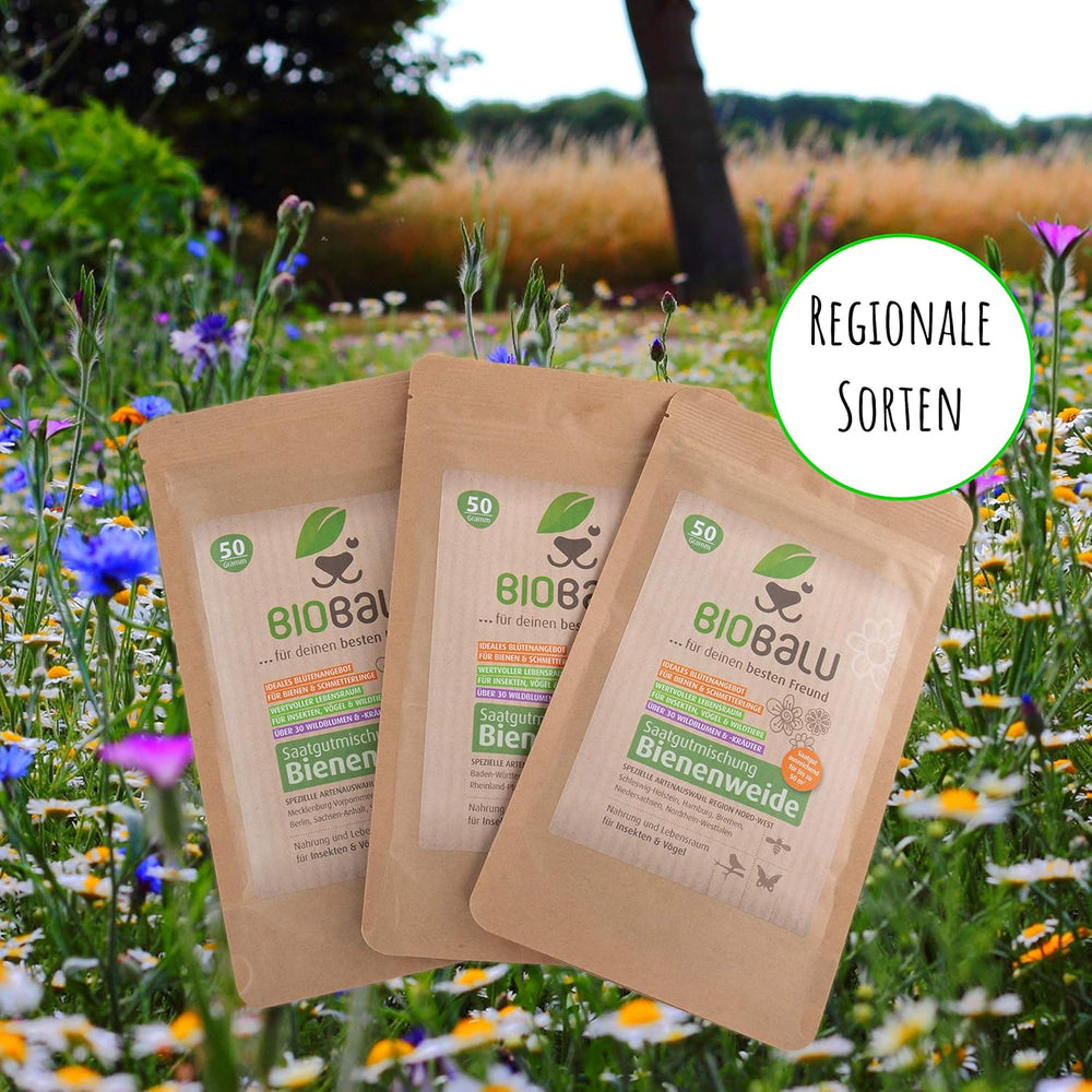 Včelí semena - luční květy, vytrvalé a mrazuvzdorné, semena - přes 40 původních květin a divokých bylin, speciální výběr druhů pro jižní Německo, 50g