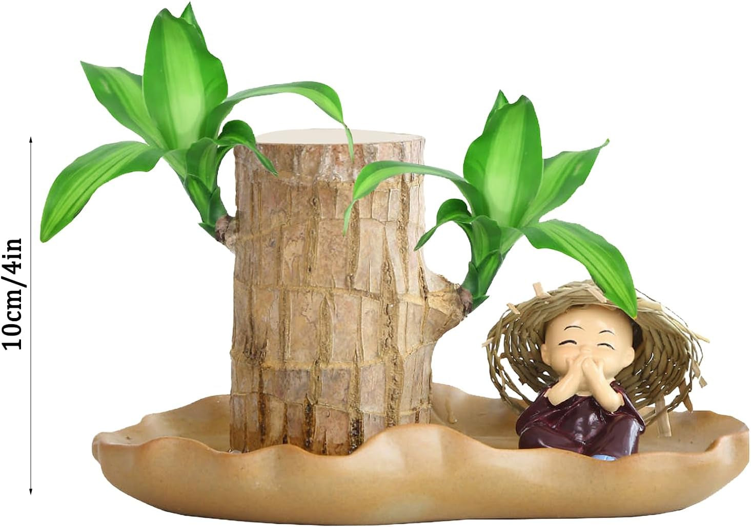 Brasilianisches Glücksholz | Glücksbambus Pflanze Ornamenten | Reinigen Sie Luft Luckyes Bamboo Mit Blatttopf | Hydrokulturpflanze Brazilian Glücksholzpflanze Für Desktop-Dekoration