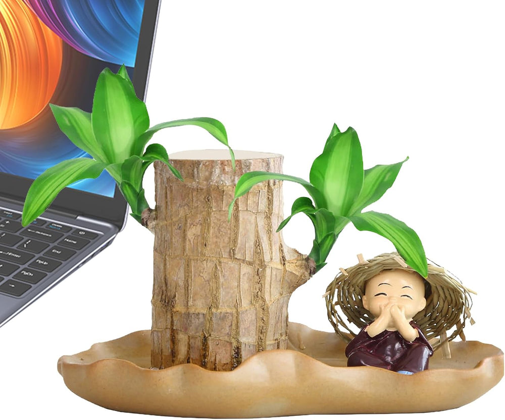 Brasilianisches Glücksholz | Glücksbambus Pflanze Ornamenten | Reinigen Sie Luft Luckyes Bamboo Mit Blatttopf | Hydrokulturpflanze Brazilian Glücksholzpflanze Für Desktop-Dekoration