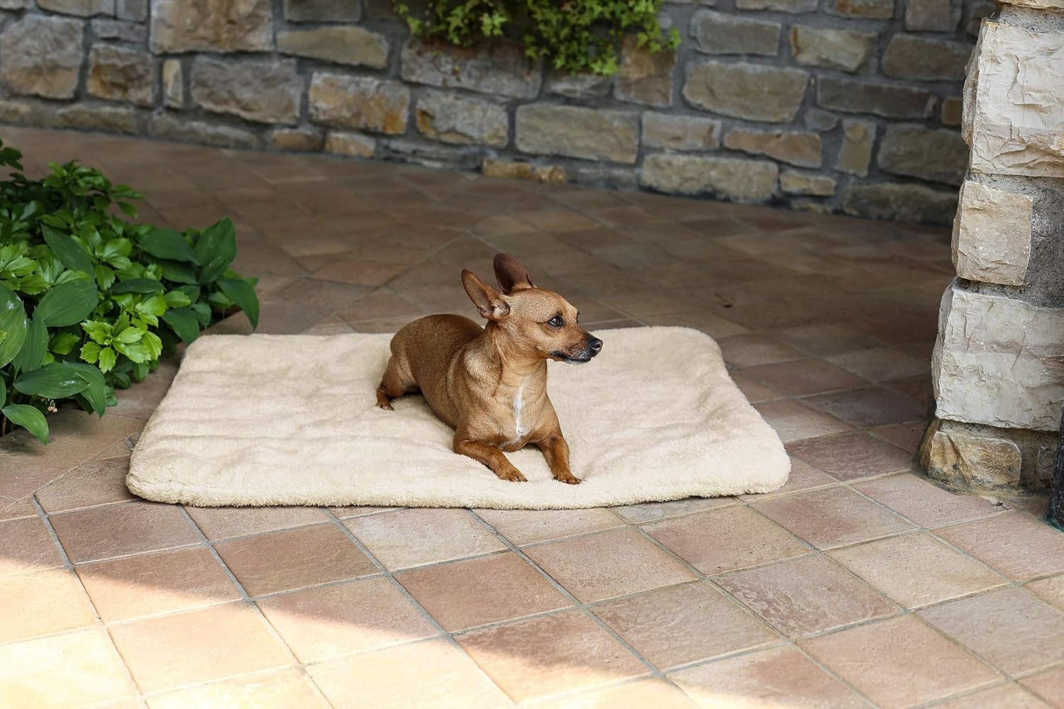 Sogni E Capricci Super Soft Mat, Smetana, 104X75CM, Polyester, Peřiny a přikrývky Naty Shop Cream 104X75cm