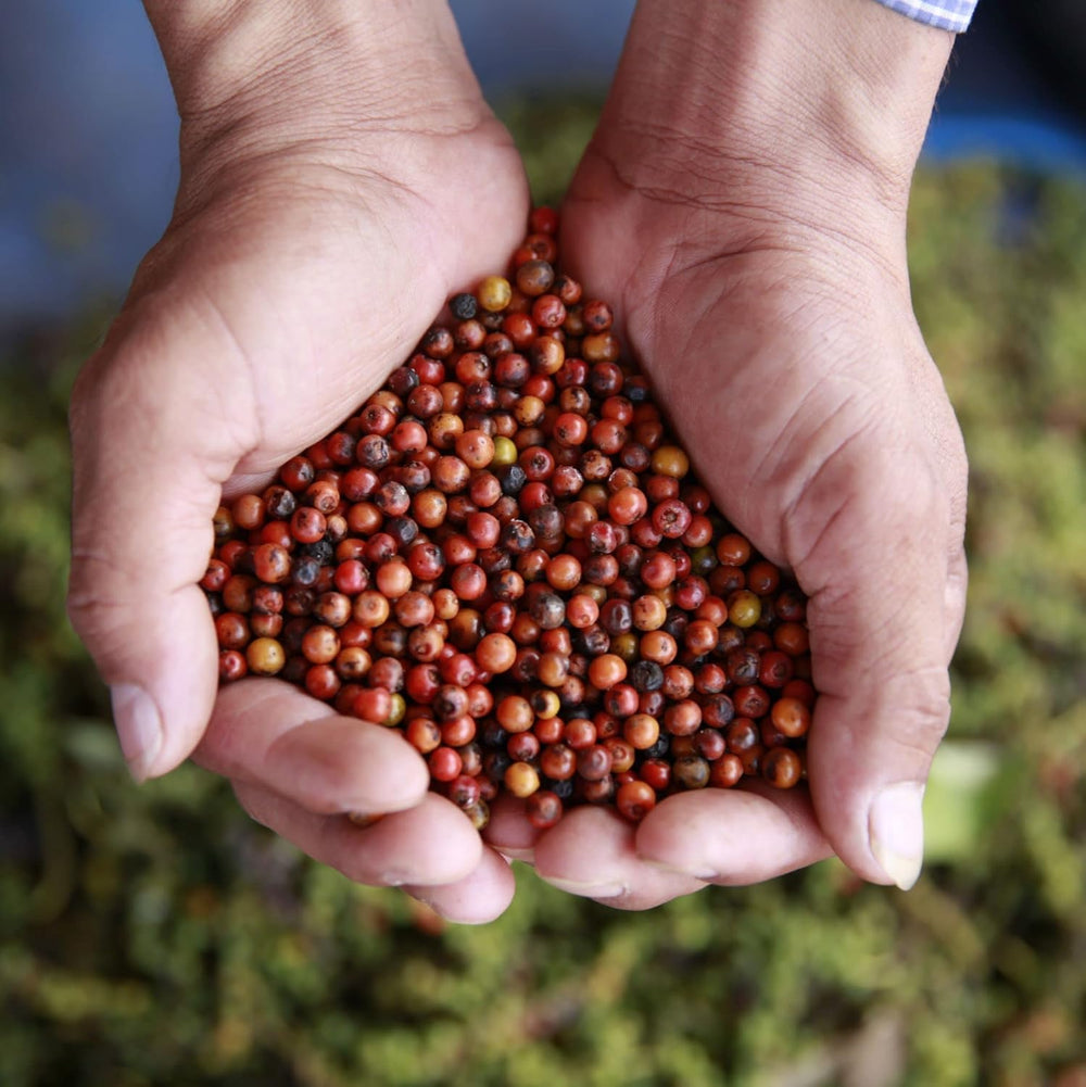 Spicebar Roter Kampot Pfeffer, Premium Auslese aus Kambodscha (1 x 70 g)