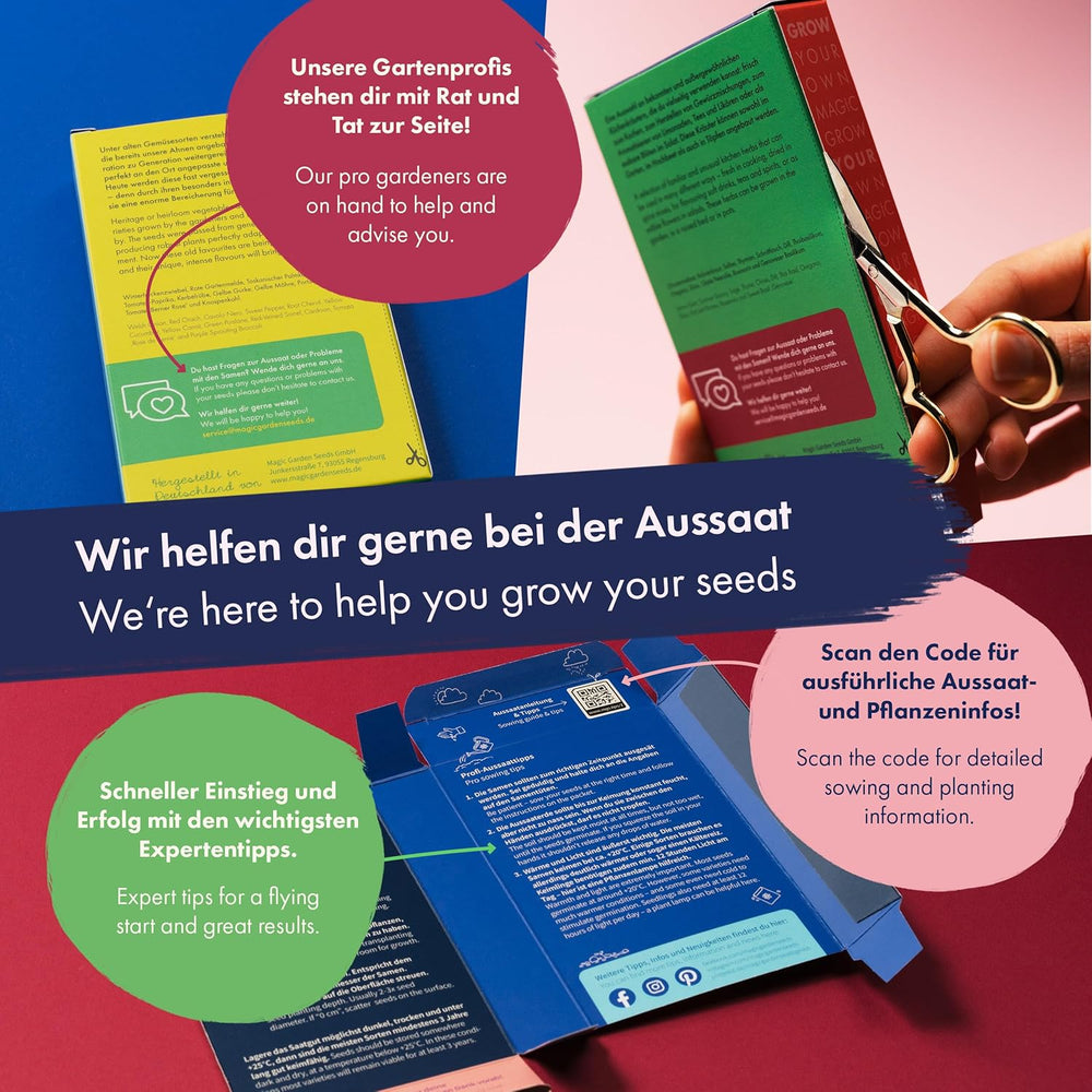 Sušené květiny – 10 druhů volně opylovaných květin – věčné a krásné – sada semínek pro začátečníky, jako malý dárek nebo pro osobní použití