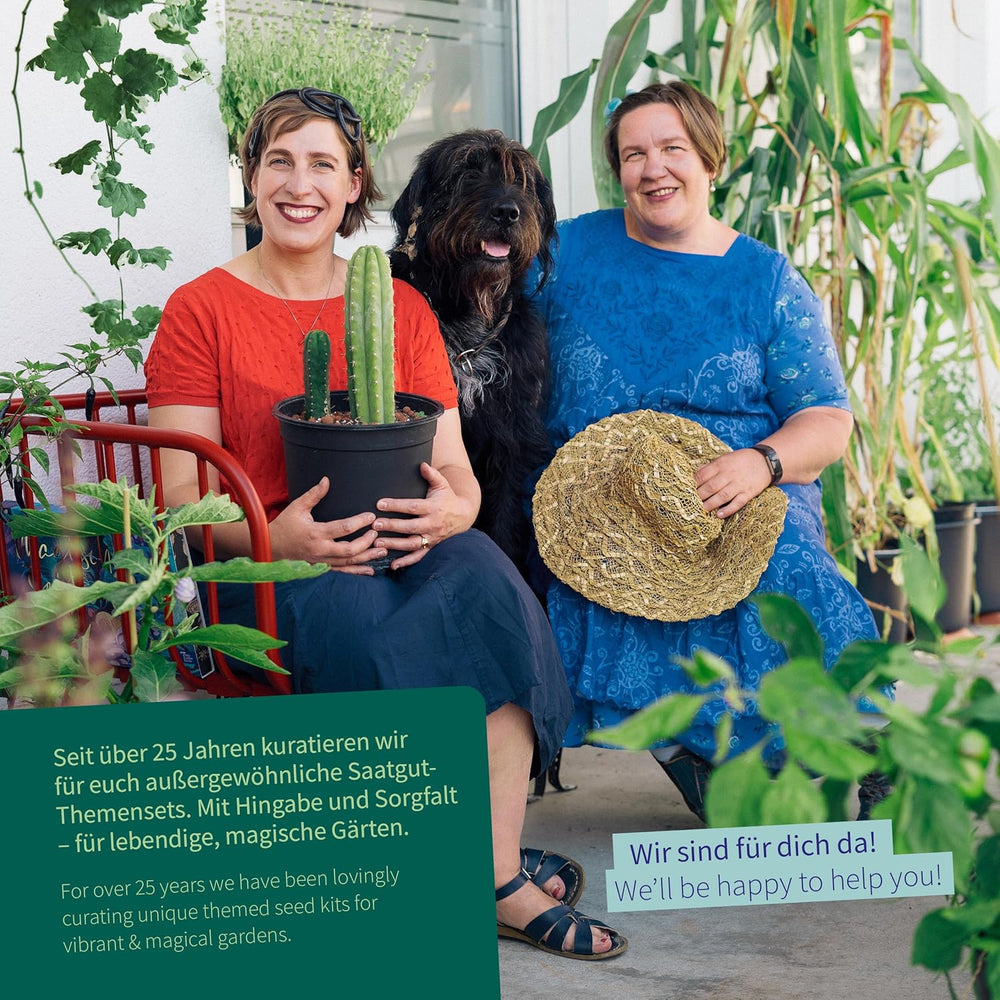 Magic Garden Seeds - Sada semínek květinové nostalgie - 9 tradičních letních květin v rustikálním zahradním stylu - voňavé, barevné a nostalgické - tip na dárek pro milovníky zahrad