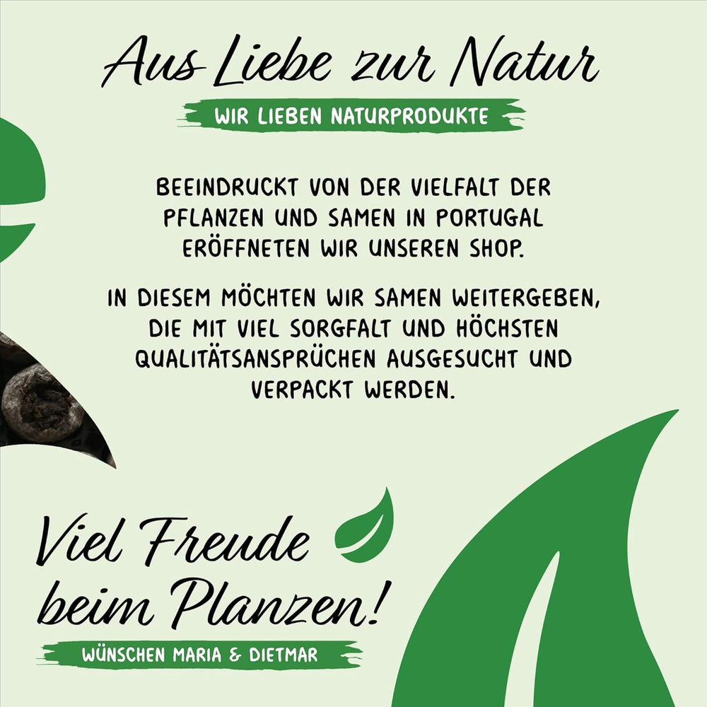 Prademir – Kräutersamen Set aus 16 beliebten Küchenkräutern – Kräuter Anzuchtset mit 100% Natursamen aus Portugal – Kräuter Saatgut aus Oregano, Tymián, Majoránka, Rosmarin, Kopr, Basilikum, Sage uvm