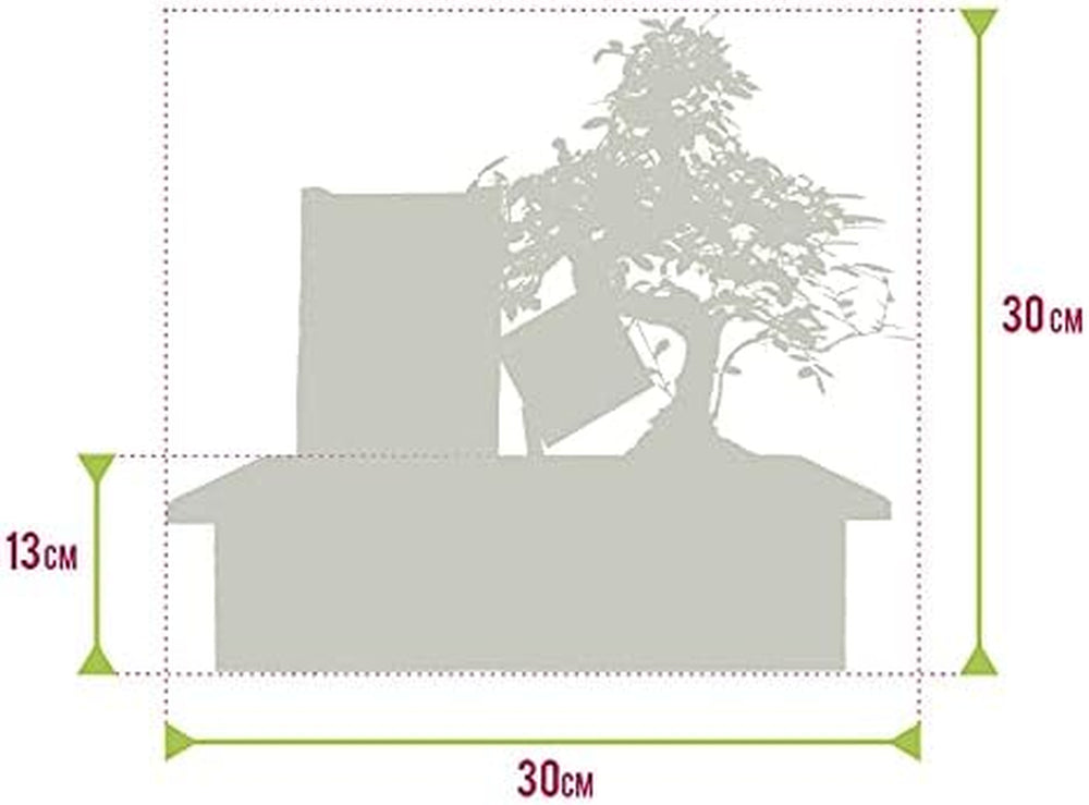 Vdvelde.Com - Bonsai-Starter-Set Buddha-Wasserfall - • Buddha-Wasserfall-Set Mit Netzstromanschluss • 30 X 13 Cm ↥ Ca. 30 Cm • Inkl. Pflegeleichtem Wassersystem + Pflegeset