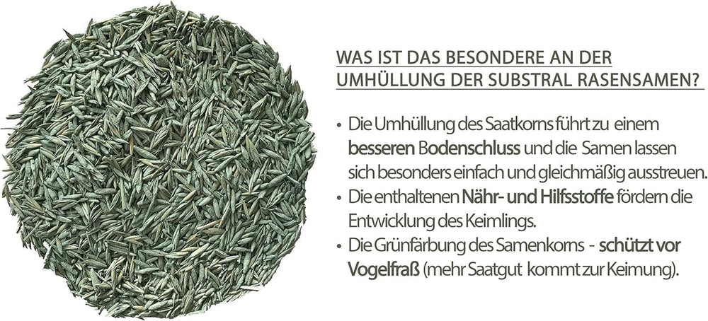 Substral Rasensamen Der Robuste, 1 Kg Für 50 M² - Sport- Und Spielrasen, Einzigartige Strapazierrasen-Mischung