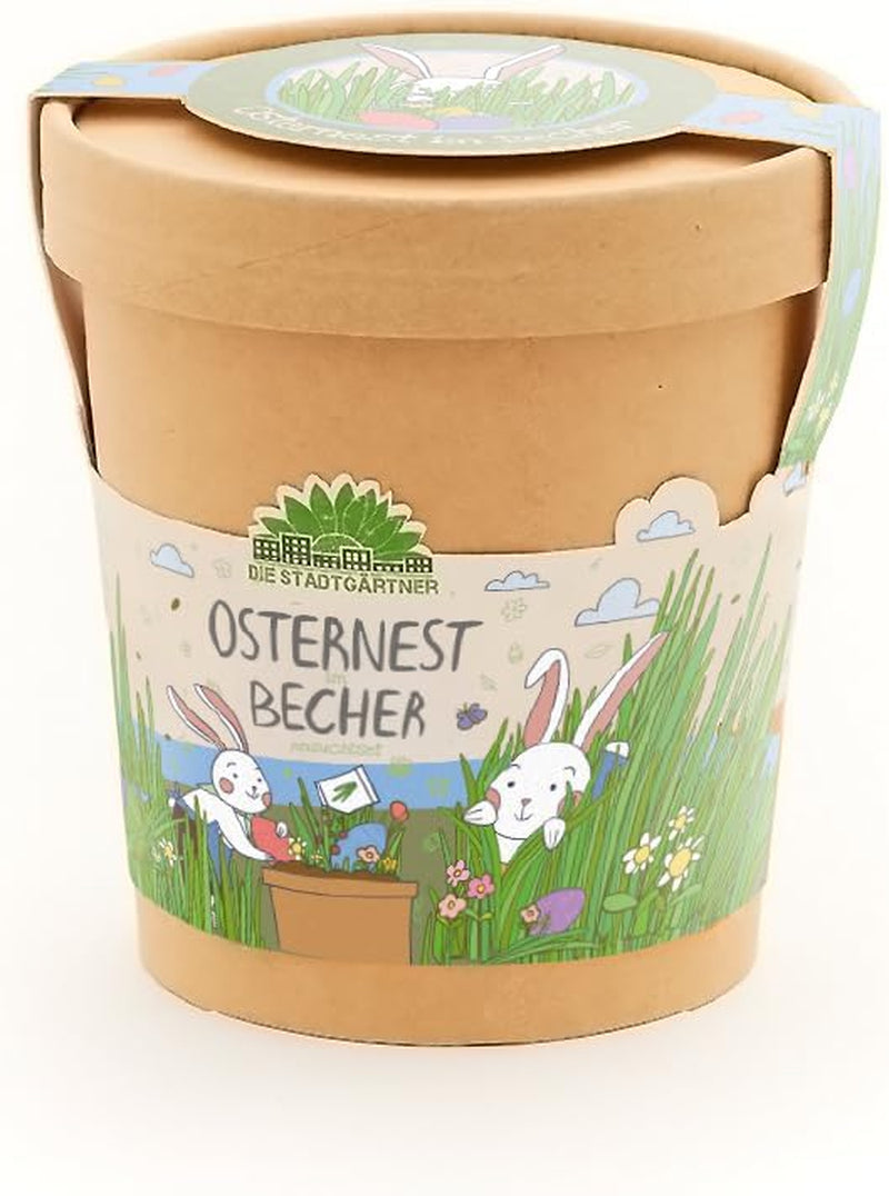 Die Stadtgärtner Möhrchen Im Becher Anzuchtset Für Möhren Im Becher | Enthält Alles, Was Du Zur Anzucht Benötigst | Ostergeschenk Für Kinder | Geschenkidee Kinder Ostern