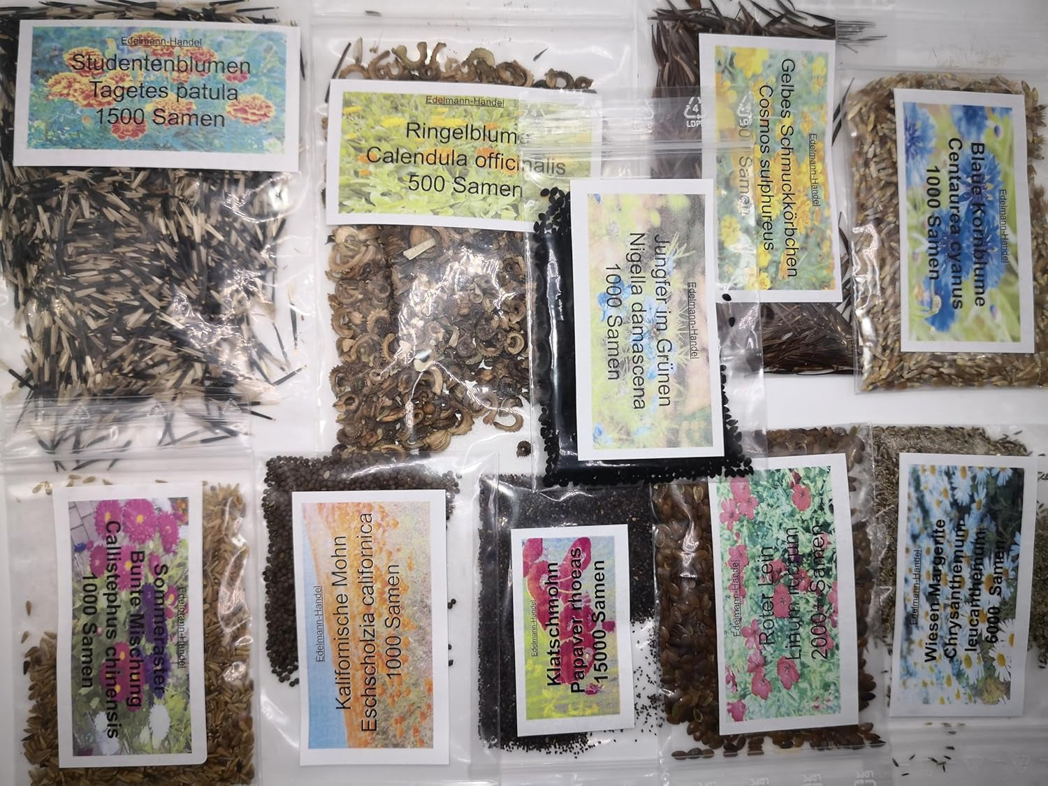 Sada semínek divokých květů, 10 odrůd, 28 000 semen, směs lučních květů s mákem, zvonky, měsíčky, sedmikráskami a dalšími, vše jednotlivě zabalené