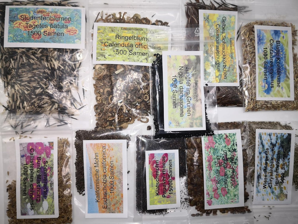 Sada semínek divokých květů, 10 odrůd, 28 000 semen, směs lučních květů s mákem, zvonky, měsíčky, sedmikráskami a dalšími, vše jednotlivě zabalené
