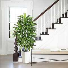 Künstlicher Dracaenabaum,Kunstpflanzen Groß,Faux Tree Mit Weißem Hohen Pflanzer Realistische Kunstpflanze Dracaena,Kunstpflanzen Für Wohnzimmer, Büro & Garten(1, Weißer Hoher Pflanzer, 150Cm)