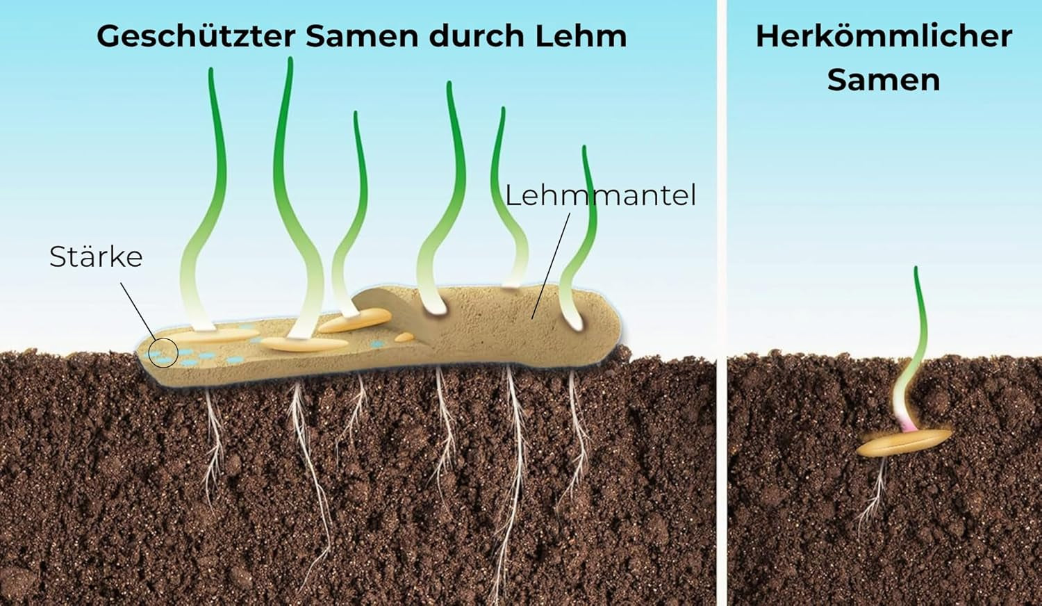 Semena květin v ochranném jílovém obalu pro včely a motýly, 400g. Vytrvalé a zimovzdorné rostliny vytvářející kvetoucí krajinu o ploše 20 m². Krásná semínka divokých květin pro barevnou včelí pastvu. Dárek pro děti.