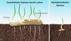 Semena květin v ochranném jílovém obalu pro včely a motýly, 400g. Směs vytrvalých a zimovzdorných divokých květin na 20 m². Krásná semínka divokých květin pro barevnou včelí pastvu. Dárek pro děti.