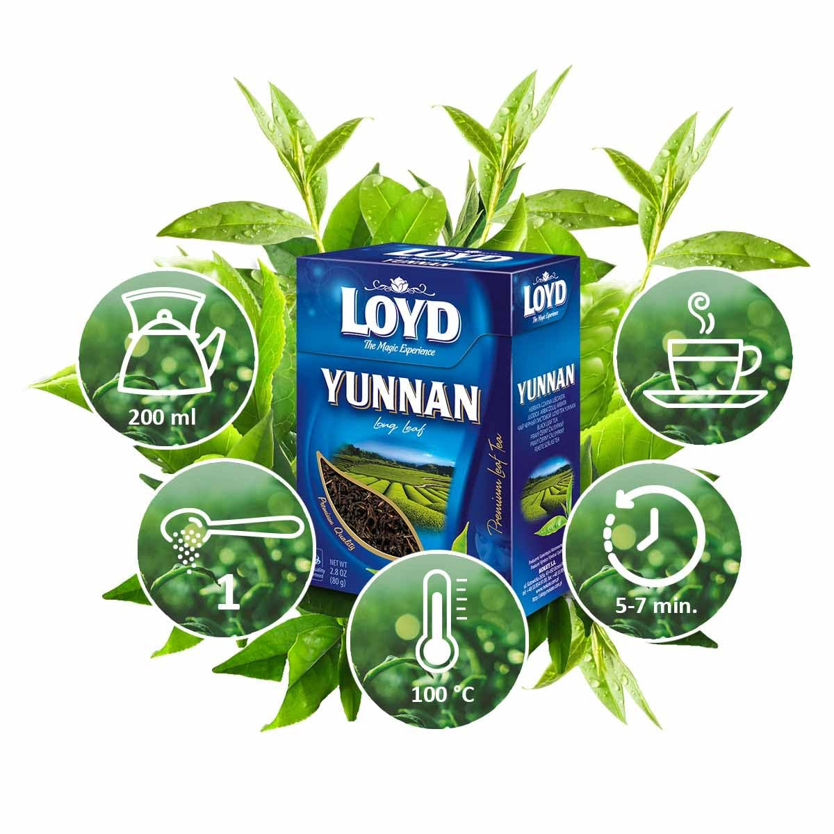 LOYD - YUNNAN Ceai negru cu frunze întregi - Ceai negru 100% natural din China, pentru iubitorii de ceai - Ceai negru cu frunze întregi - Gust intens, postgust delicat de miere și caramel - 80 g