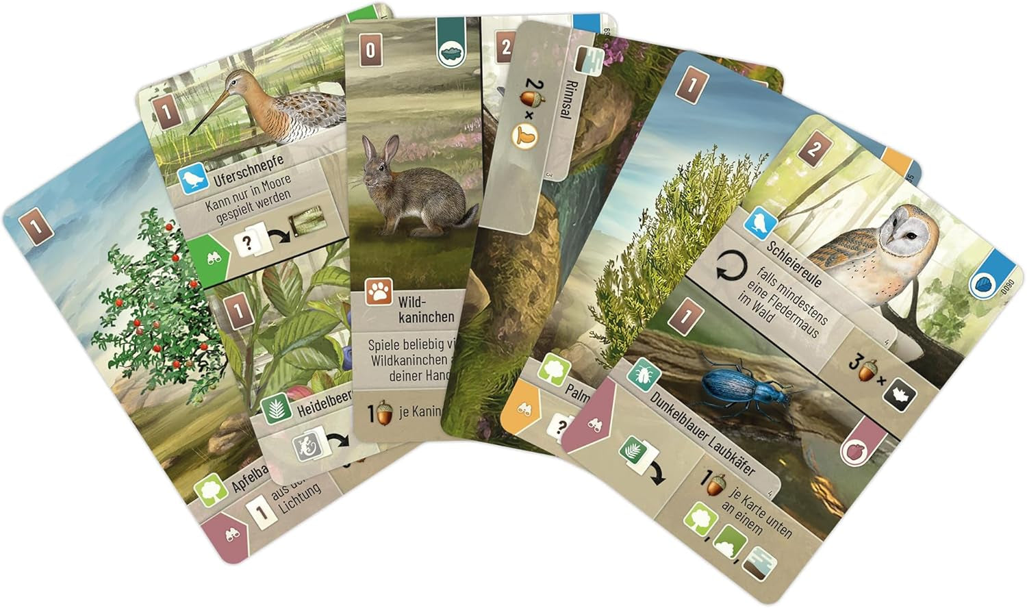 Vyhlídka, Smíšený les: Dartmoor, Základní hra, Rodinná hra, Karetní hra, 2–5 hráčů, Věk 10+, 60 minut, Němčina