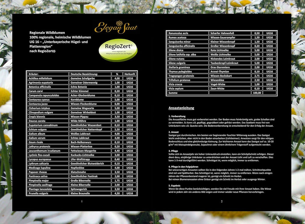 "Regionale Wildblumen" - Blumenwiese & Mehrjährige Blühmischung, Regiosaatgut Nach Regiozert, 100% Regionale Wildblumensamen, Für 10M², Mit Ansaathilfe Vermengt (Ursprungsgebiet 16)