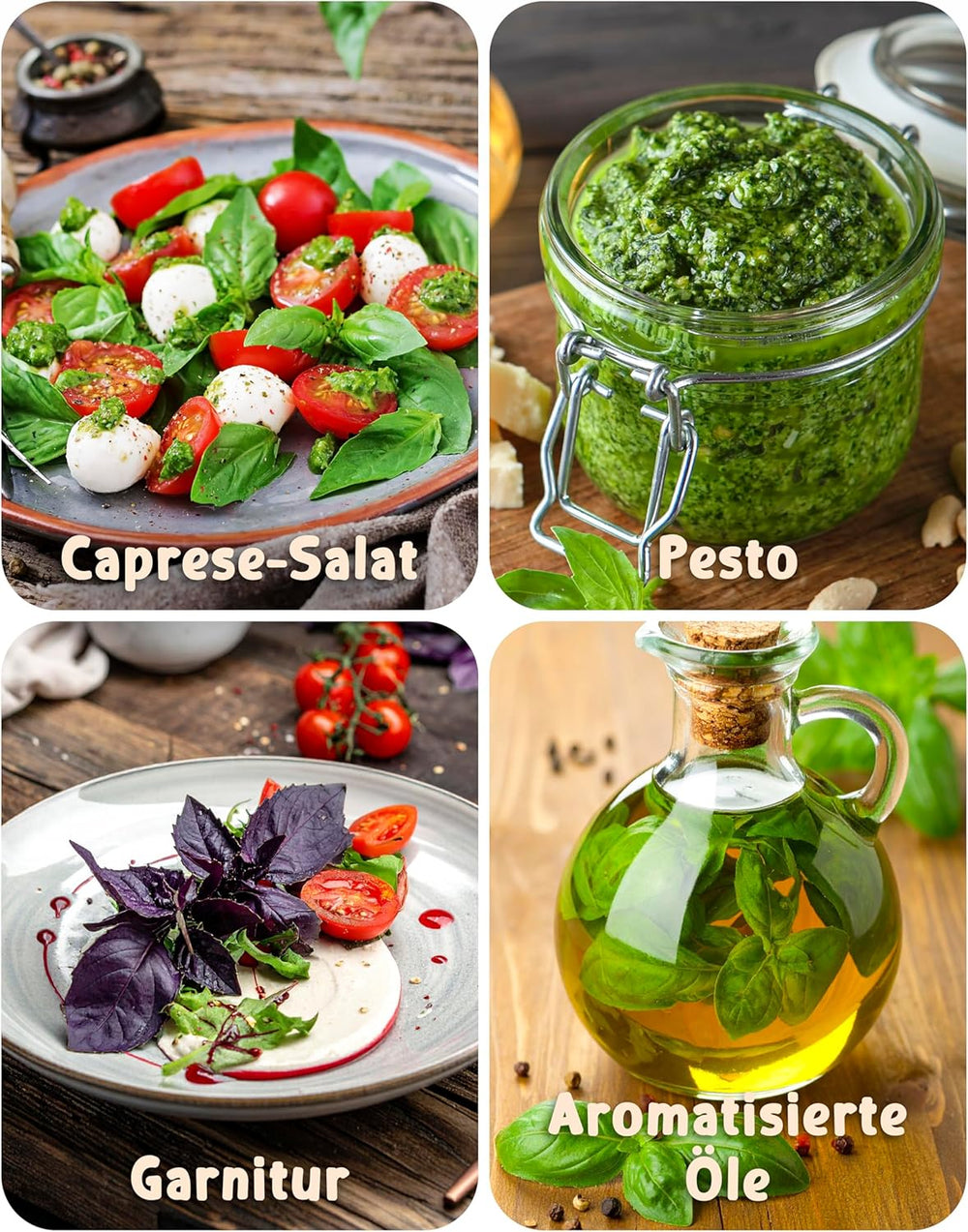 Bio semínka bazalky v sadě 6 - 6 semínek bazalky pro snadné pěstování na zahradě, na balkóně nebo na vyvýšeném záhonu - Semena rostlin - Sazenice