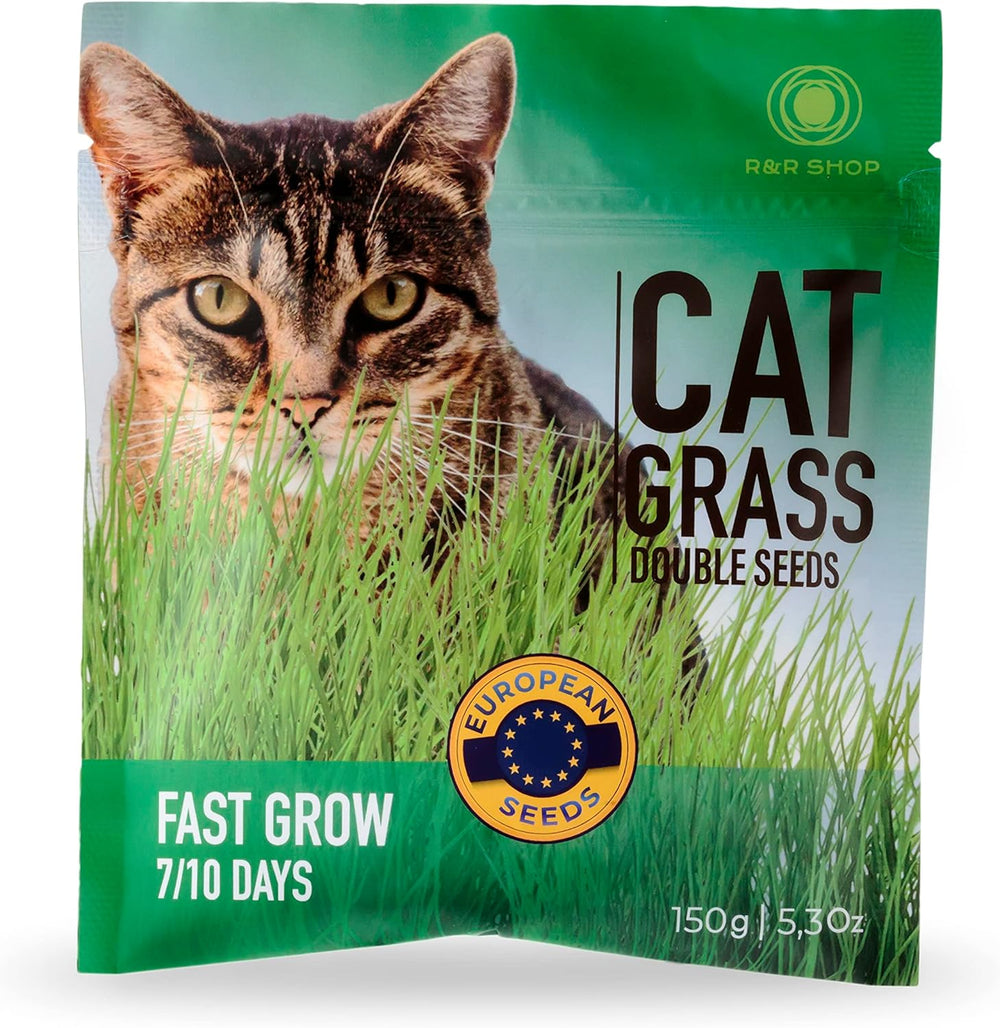 R&R SHOP - Mischung Aus Katzenminzensamen, Schnelles Wachstum Für Eine Glückliche Katze, Hochwertige Europäische Samen (150Gr)
