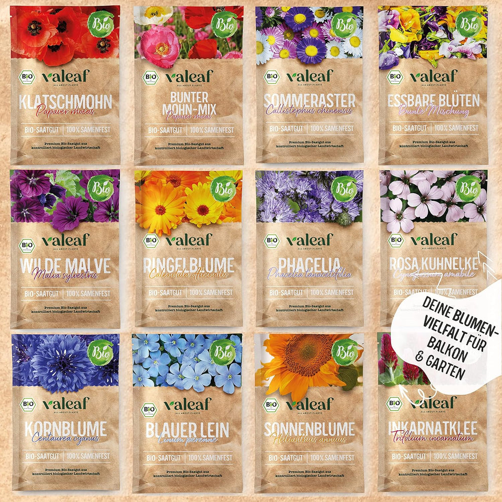 Sada organických květinových semínek | 12 druhů semen květin | Prémiová semena květin | Wildflower Seed Plant Set Seed | Semena květin | Semena květin na balkon | Ideální dárek se semeny květin