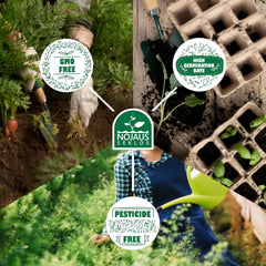 Sada květinových semínek Nojus - 10 odrůd květinových semen - Balkonová semena květin - Semena barevných rostlin - 10 balení - Semena divokých květin - Sáčky se semeny květin - Ideální dárek se semeny květin