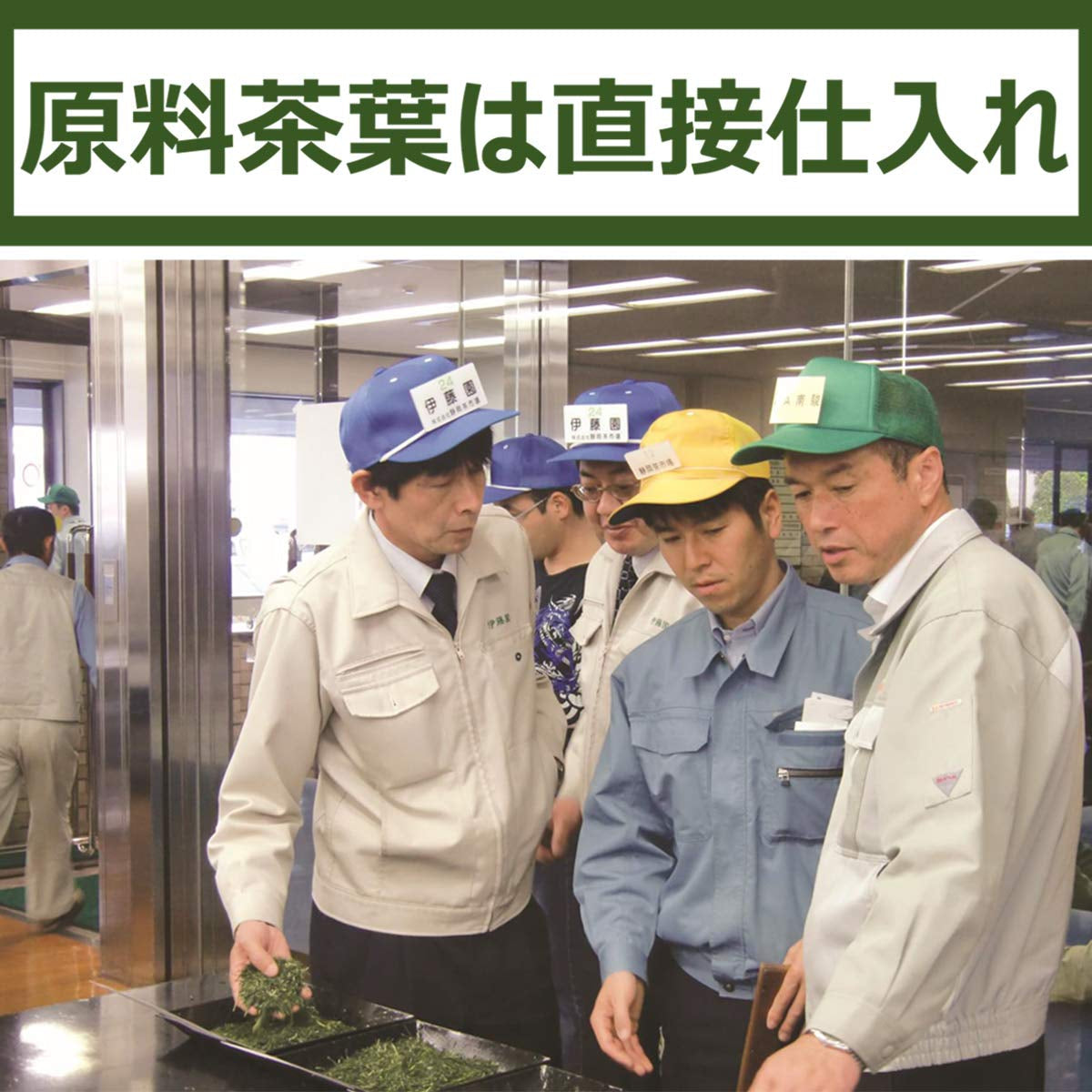 Itoen Oiocha Matcha-Iri Ryokucha - Frunze de ceai verde japonez - 100 g