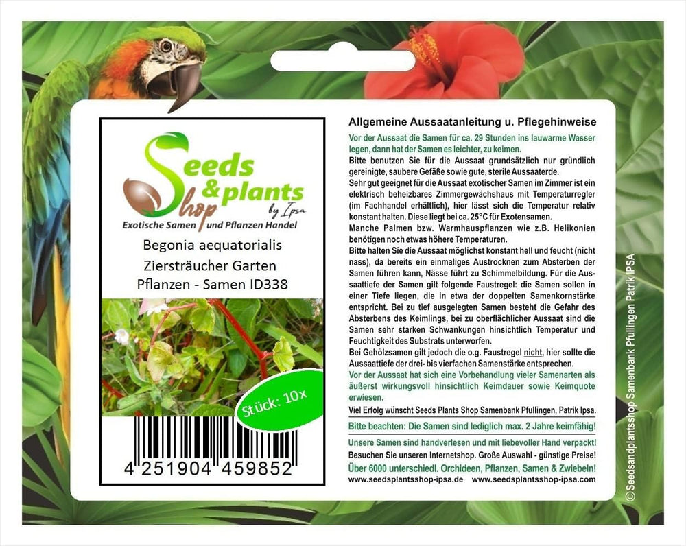 Stk - 10X Begonia Aequatorialis Ziersträucher Garten Pflanzen - Samen ID338 -