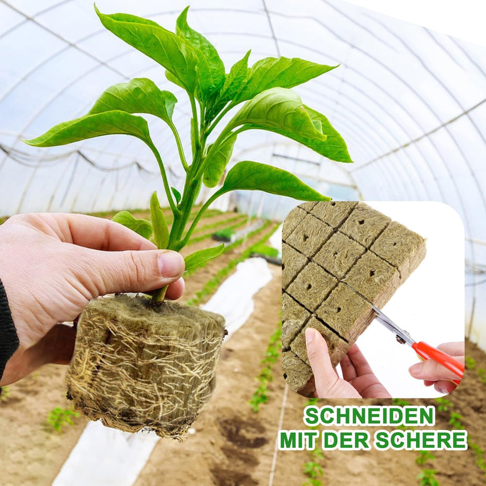 Sadební kostky Rockwool, 56 kusů, 4x4x4cm. Ekologické a dobře provzdušněné pro bezpůdní pěstování sazenic, řízků a klonů.