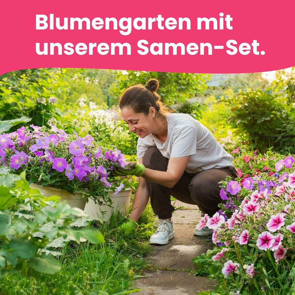 LERAVA květinová semena (12 odrůd) - zimní mrazuvzdorné trvalky - zahradní a balkónová semena - rychlé klíčení pro snadné setí - nenáročná na údržbu květinová směs pro nepřetržité kvetení