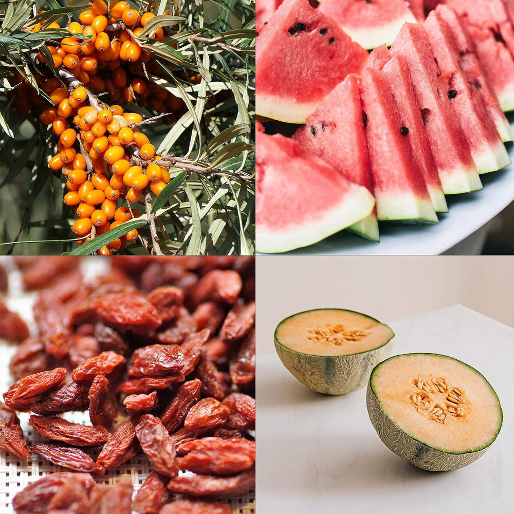 Sada ovocných semínek: Prémiová zahradní semínka s 8 odrůdami ovocných rostlin pro zahradu a balkon - semínka melounu, jahodová semínka, angrešt, rebarbora a další - Dárková sada ovocných semínek od OwnGrown