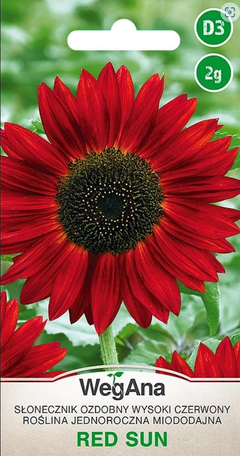 Cosmos Sensation Mix 1g semínek, Cosmos Mix Letní květiny, Zahradní rostliny Balkonové rostliny, Květinová semena