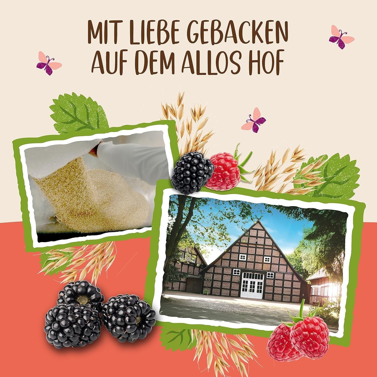 Allos Hof Granola s ovocem | Bio müsli | Müsli s ovocem | Křupavé müsli | Cereálie k snídani | Balení po 6 (6 x 300 g), 1 kus (balení po 6)