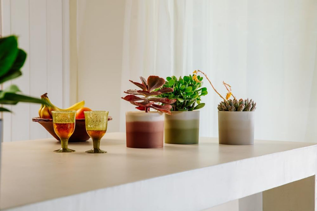 elho Ghiveci rotund cu gradient de culoare 16 cm - Ghiveci de flori de interior - 100% plastic reciclat - Ø 15,9 x H 14,7 - Maro/Cedru Maro