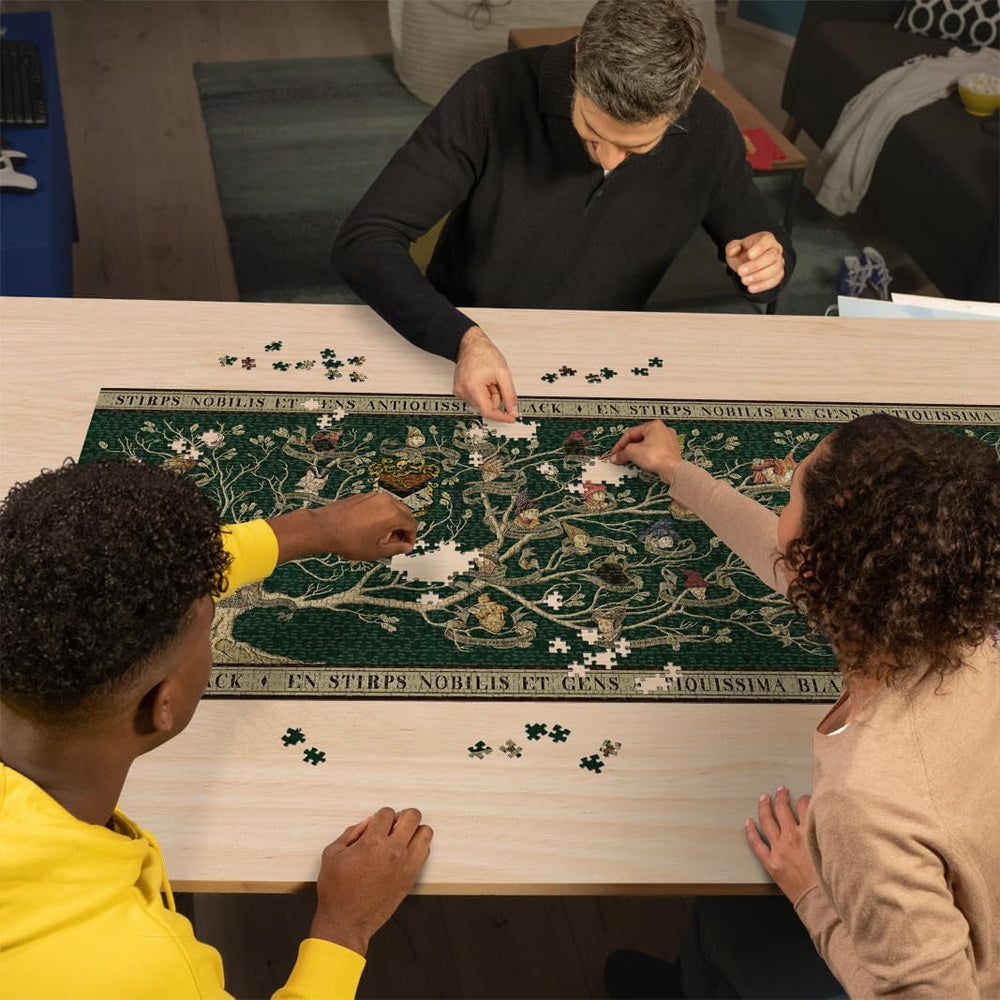 Ravensburger Puzzle 17299 - Rodokmen - Panoramatické puzzle Harry Potter 2000 dílků pro dospělé a děti od 14 let Puzzle Naty Shop