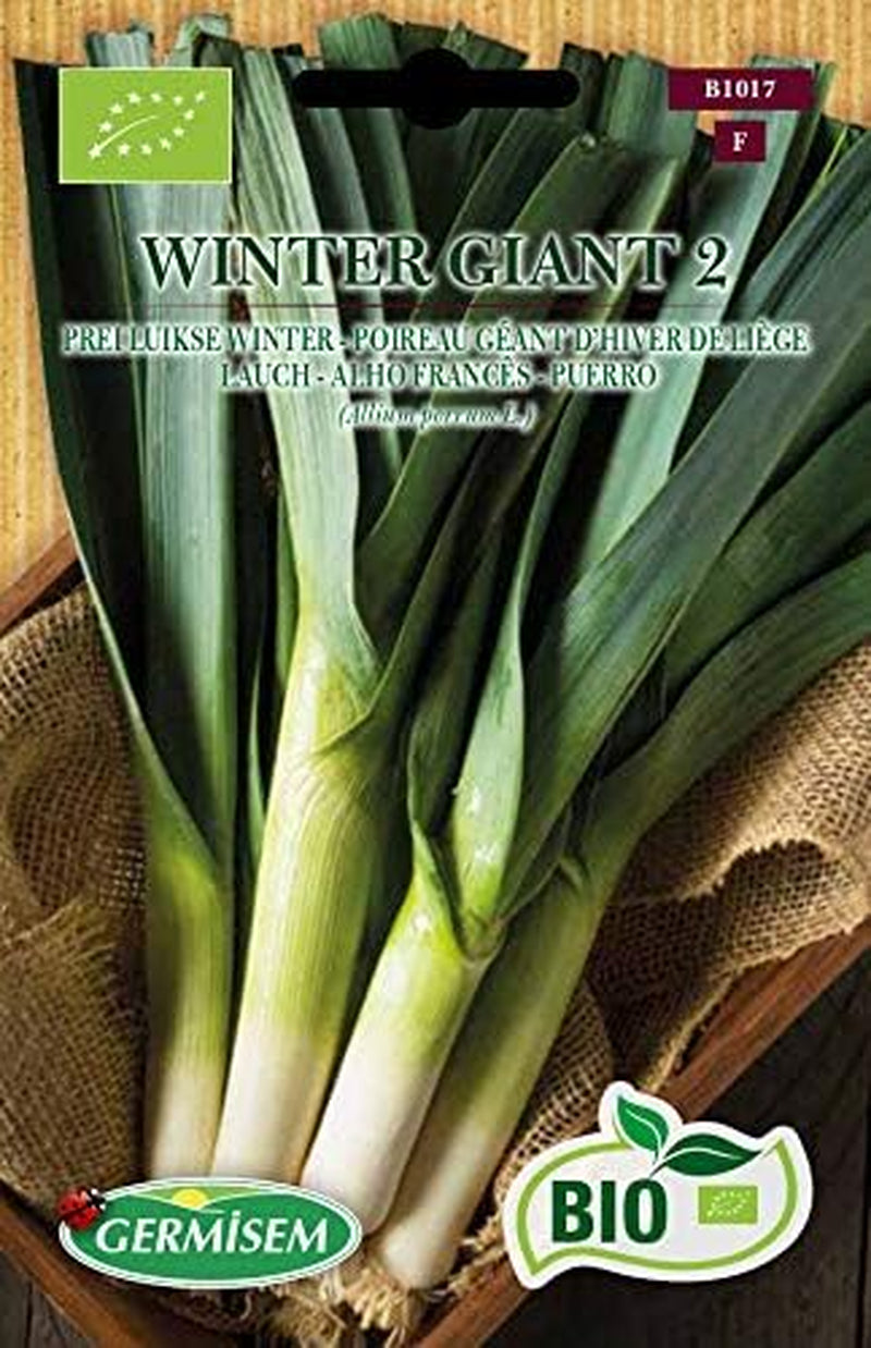 Lauch WINTER GIANT 2, ECBIO1017