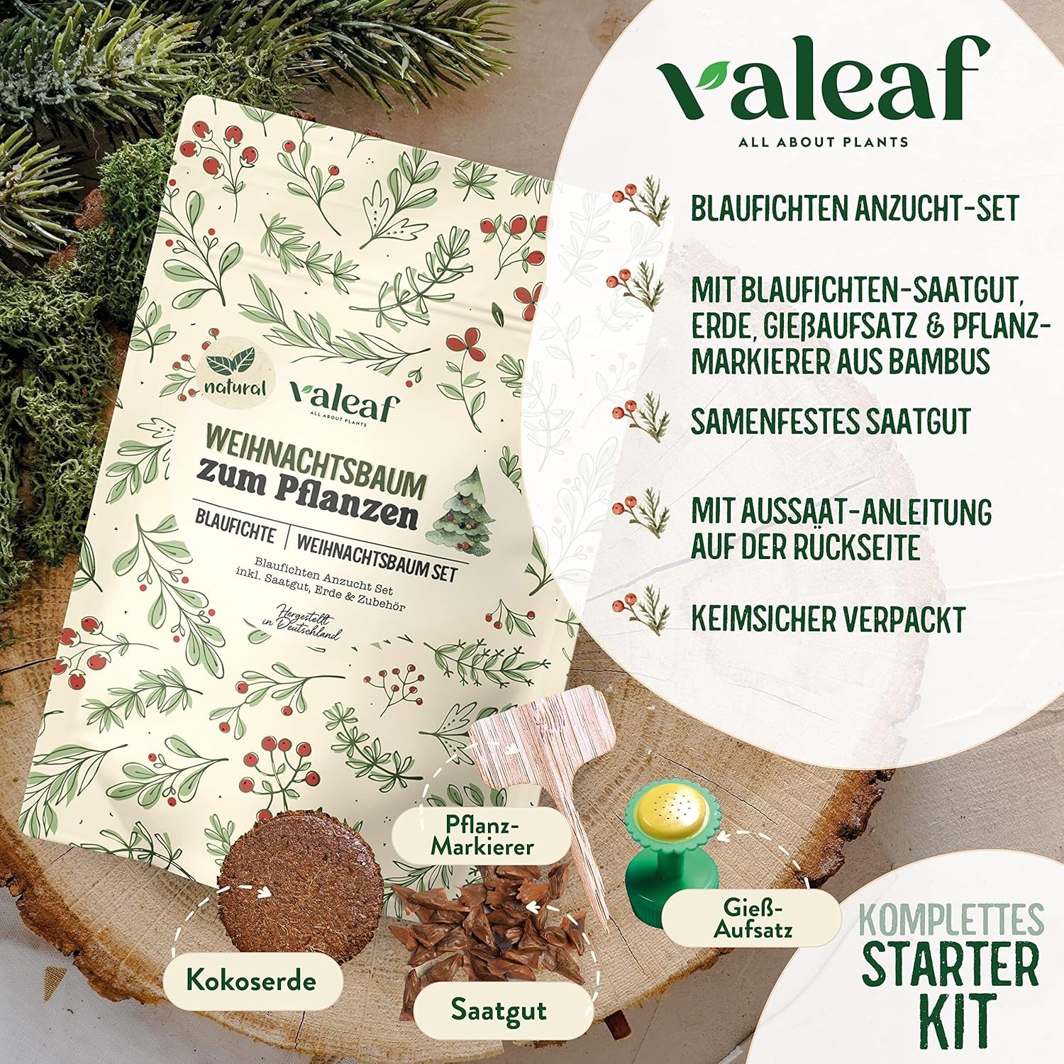 Weihnachtsbaum Anzucht Set I Tolle Geschenk-Idee, Wichtelgeschenke Weihnachten, Nikolausgeschenke Und Garten Geschenke I Weihnachtsbaum Aus Der Dose (Blaufichte 3)