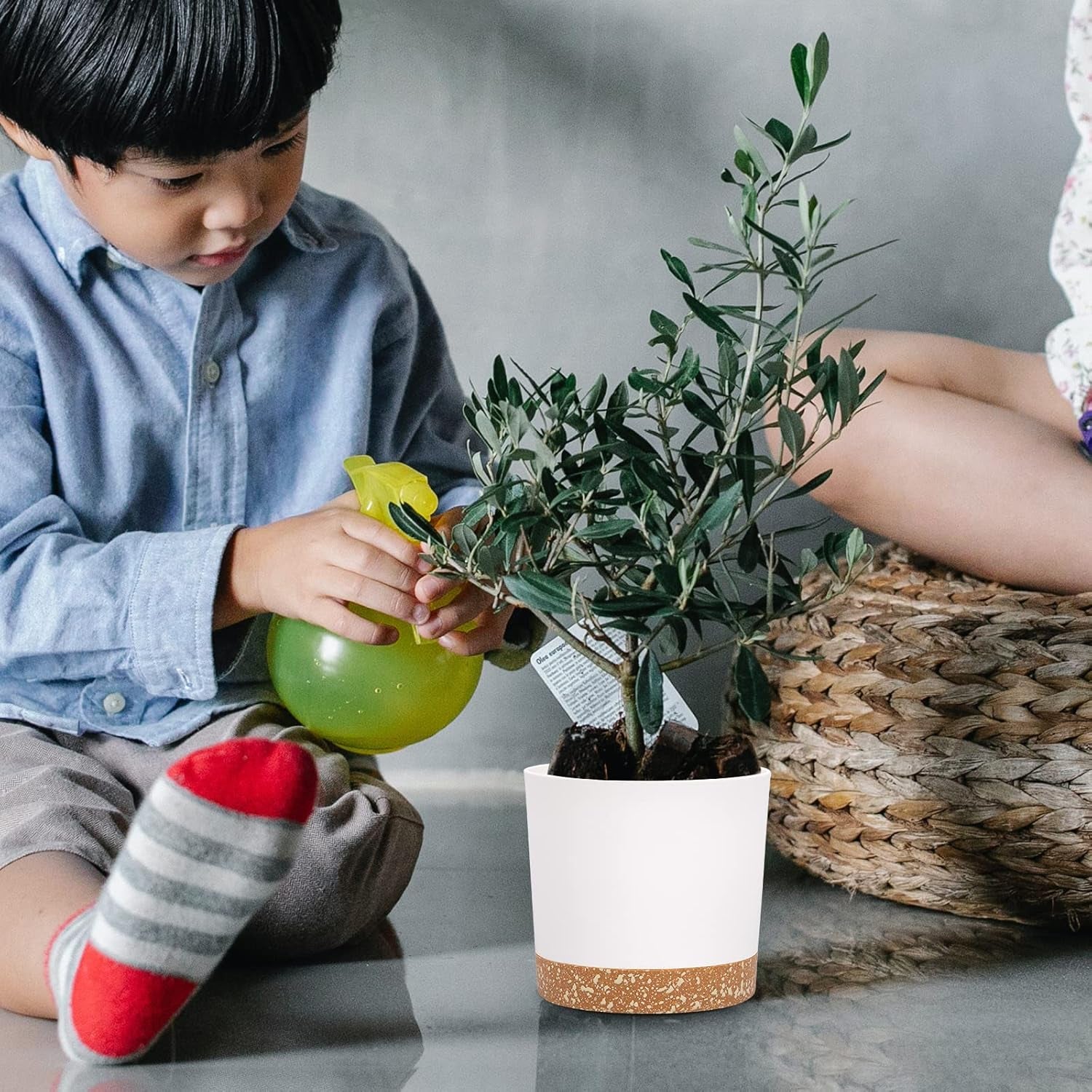12,7 cm sada 2 květináčů, vnitřní květináče s drenážními otvory a odnímatelnou základnou, moderní dekorativní podšálky pro venkovní zahradní květináče (bílé 12,7 cm)