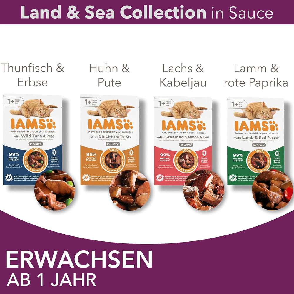 IAMS Delights Land & Sea Collection Hrană umedă pentru pisici - Pachet multiplu cu sortimente de carne și pește în sos, hrană umedă pentru pisici de la 1 an, 12 x 85 g