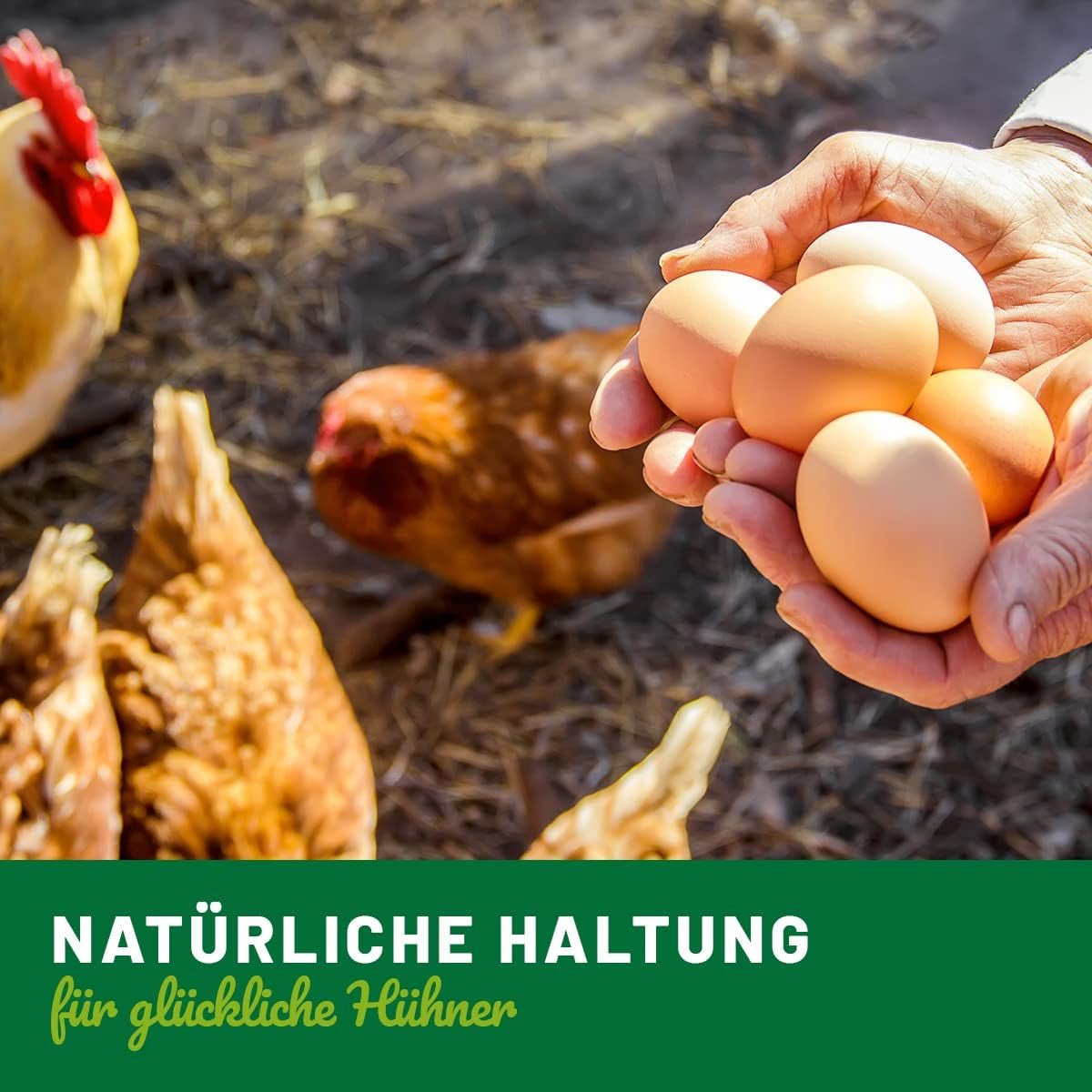 HÜHNER Land Eier-Fit für Legehennen 500g - Futterergänzung für Hühner, Legeleistung Zusatz für Hühner, Zusatz Eier, Eibildung, kräftiger Dotter, stabilní Schale, gesunde Eier, Vitamine