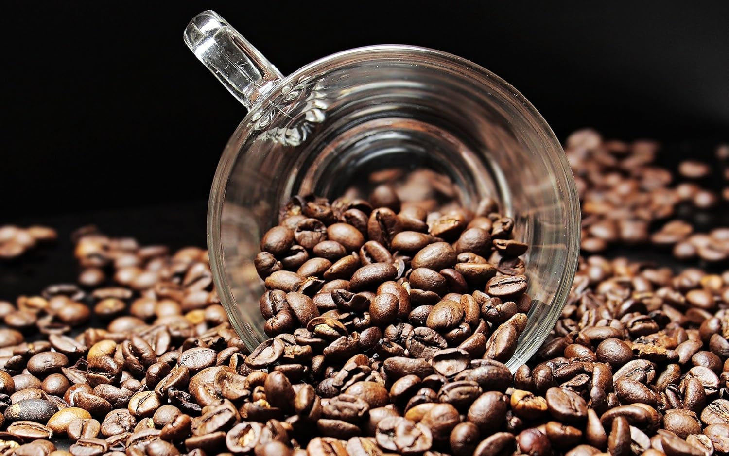 Cafea specială din America de Sud - Galapagos, ecosistemul unic al insulelor (1000 de grame, boabe întregi) - cafea de origine unică - cafea premium - aciditate scăzută - prăjită ușor și proaspăt