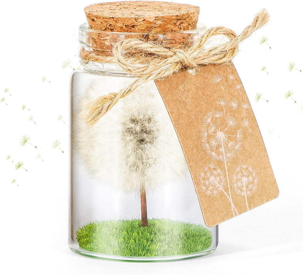 Wunscherfüller Glücksbringer, Echte Pusteblume Im Glas Mit Geschenkbox, Geburtstagsgeschenk Für Frauen, Valentinstagsgeschenk, Kleine Geschenke Für Frauen Freundin