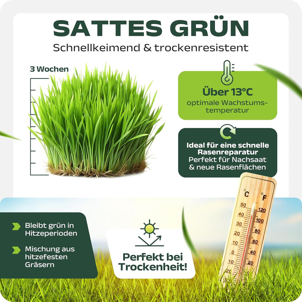 SEHR GUT Getestet | Rasensamen Schnellkeimend 1Kg Für 40M² | Frühjahr Sport Und Spiel Rasen | Grassamen Trockenresistent Für Rasensaat Und Nachsaat