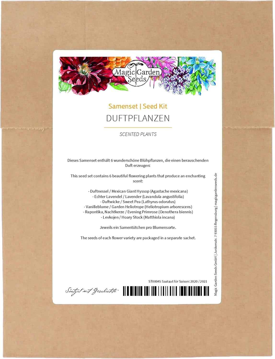 Vonné rostliny - Sasenset mit 6 prachtvoll duftenden Blühpflanzen