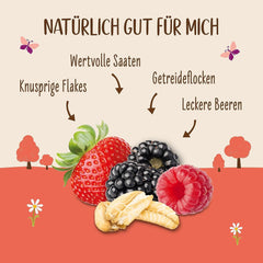 Allos Hof Granola s ovocem | Bio müsli | Müsli s ovocem | Křupavé müsli | Cereálie k snídani | Balení po 6 (6 x 300 g), 1 kus (balení po 6)
