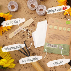 Bio slunečnicová semínka rozvětvená, 20 slunečnicových semínek s vysokou klíčivostí, slunečnicová semínka na zahradu, balkón, záhon nebo dárek pro hosty. Zdarma opylovaná semena květin.