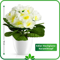 PASCH® Begonie Im Hochglanz-Keramiktopf | Kunstblumen Im Topf | Künstliche Blumen Wie Echt | Fake Blumen | Kunstblumen Wie Echt (Japanische Begonie, 3 Stück, 16Cm)