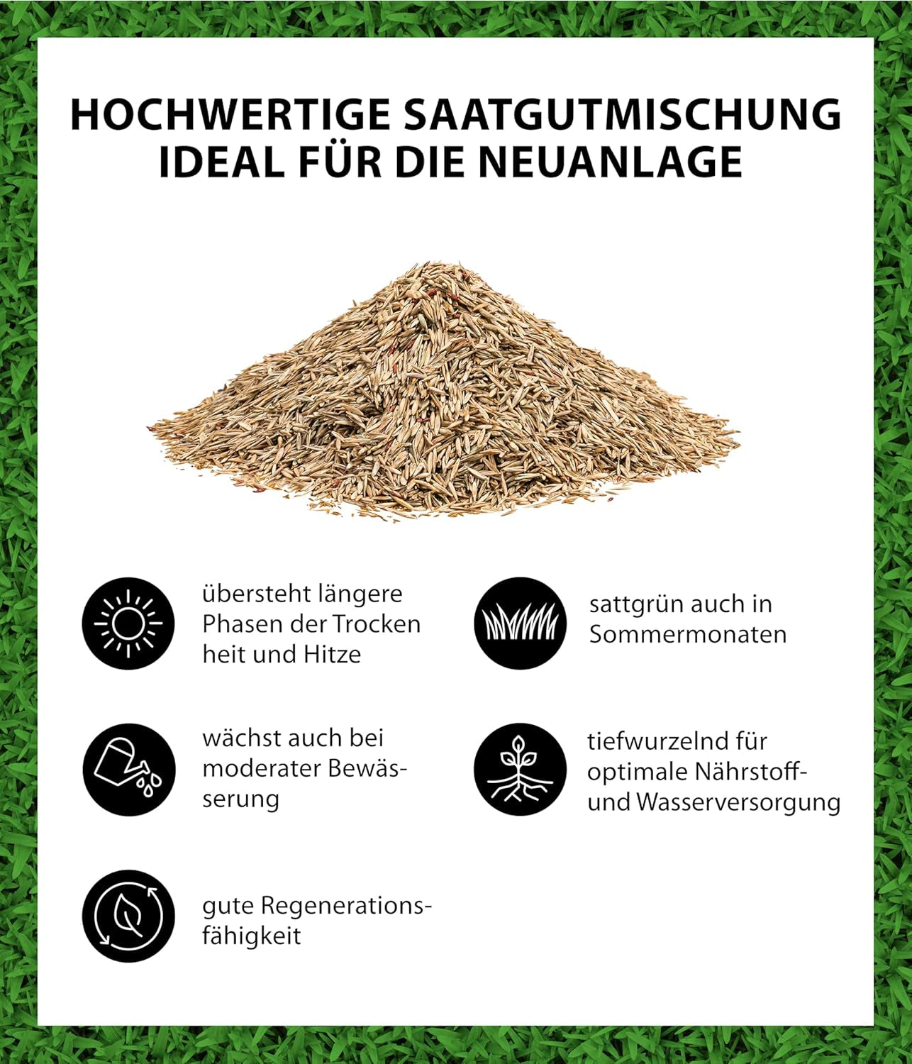 Dehner Saatgut Trockenrasen, Hochwertige Rasensamen Für Strapazierfähigen/Trockenheitsresistenten Rasen, Schnell Keimend/Pflegeleicht, Ideal Für Heiße Sommermonate, 3 Kg Für Ca. 100 M²