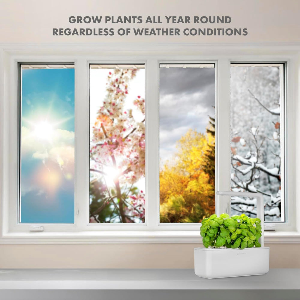 Click and Grow Growbox, chytrá zahrada, jednodušší než hydroponický systém pěstování, vnitřní zahrada, bylinková zahrada, vnitřní skleník se 3 rostlinnými kapslemi v ceně, bílá
