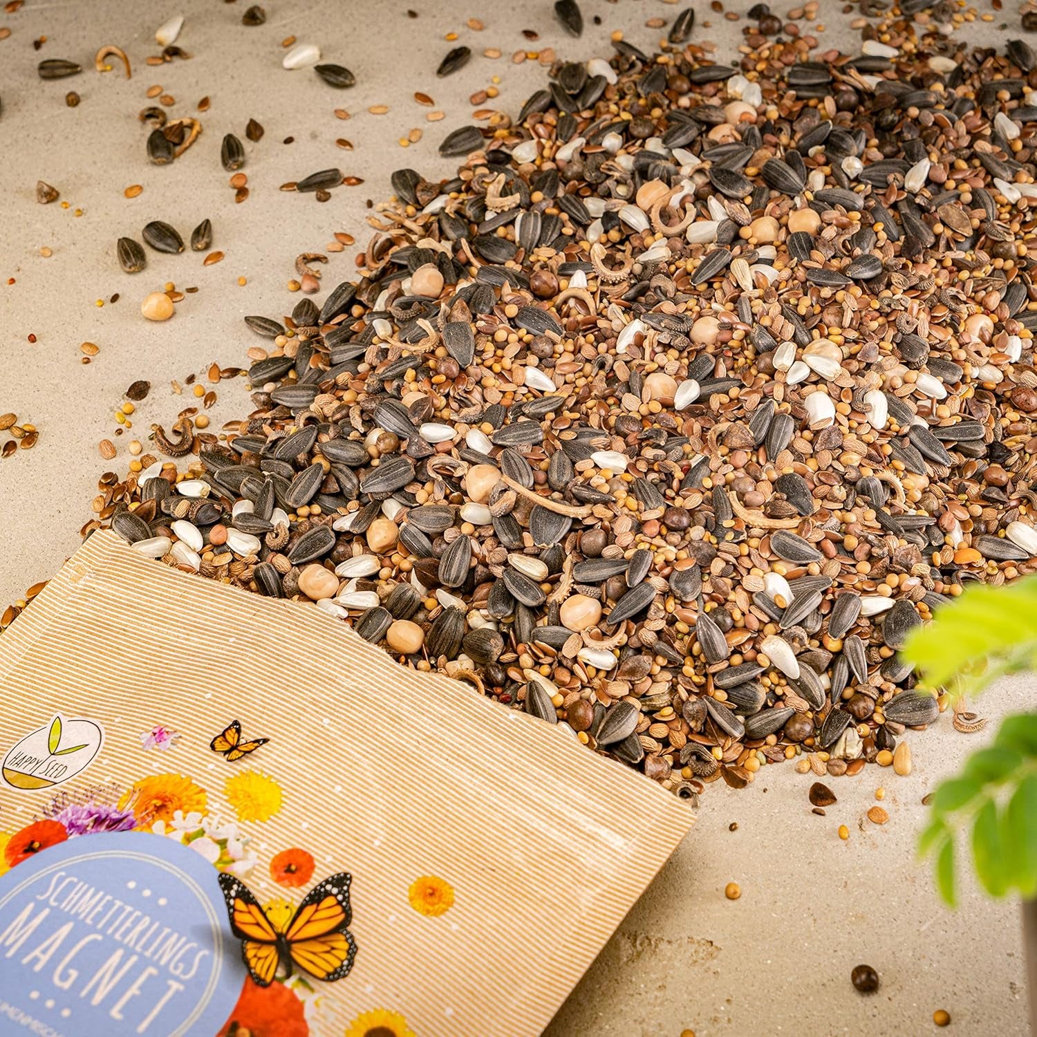 100 g motýlích semínek pro pestrobarevnou květinovou louku – směs se semeny divokých květin pro motýly bohatá na nektar