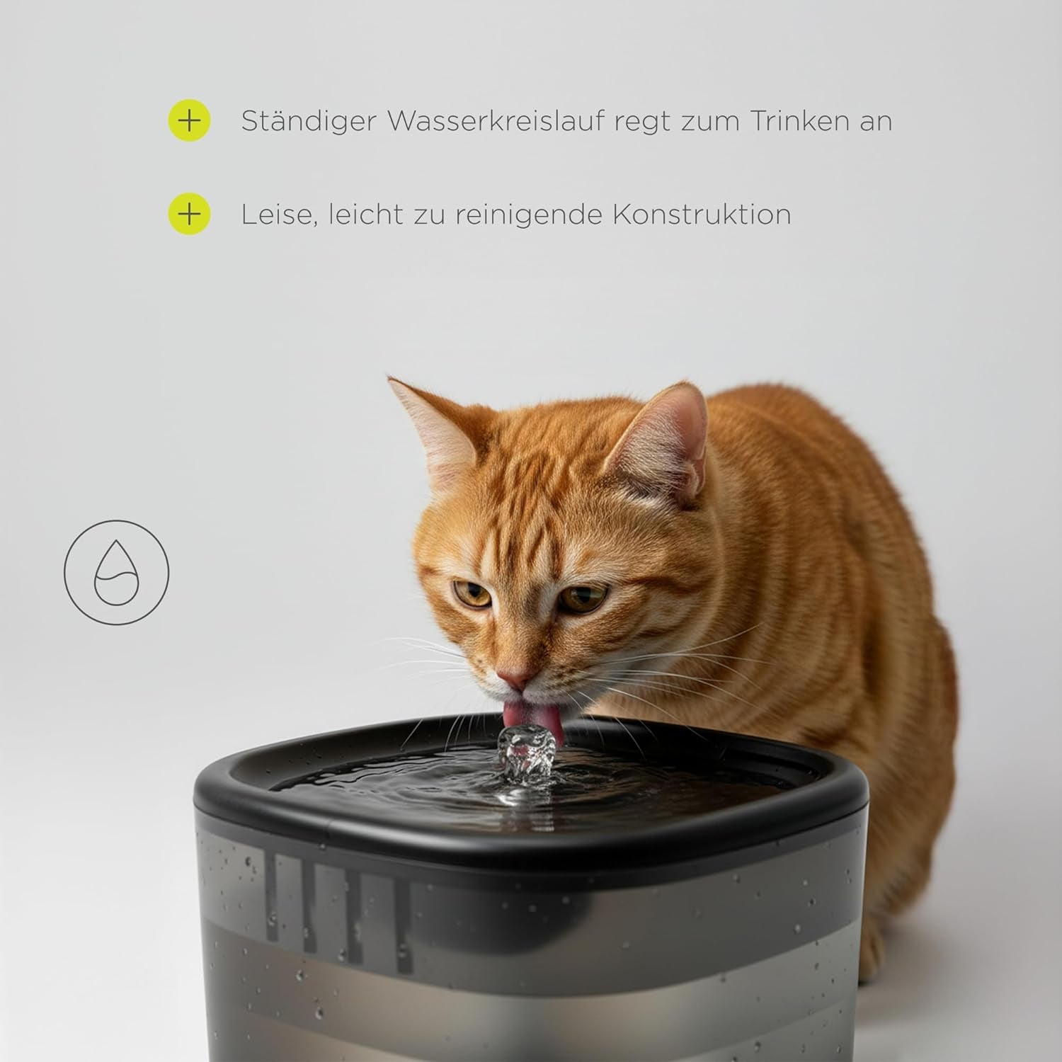 Feast Automatische Futterautomat Katze s aplikací a kamerou, Live-Video s Nachtsicht a Zwei-Wege-Audio, Portionskontrolle, Edelstahl-Napf, Katzen Trinkbrunnen s filtrem, 4,5 l a 2,5 l