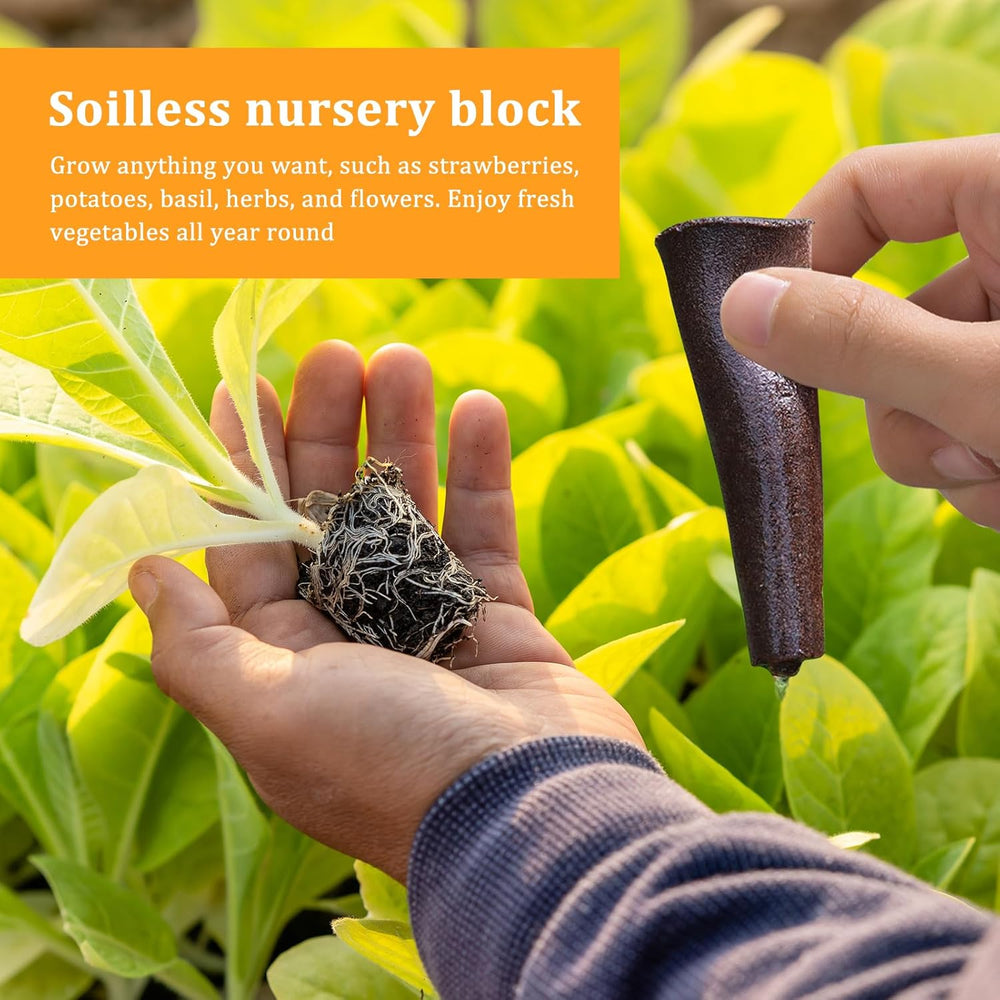 50 hydroponických houbiček, hydroponických houbiček, houbiček na pěstování kořenů, vhodných pro různé druhy pupenů, jako jsou rajčata, jahody, máta